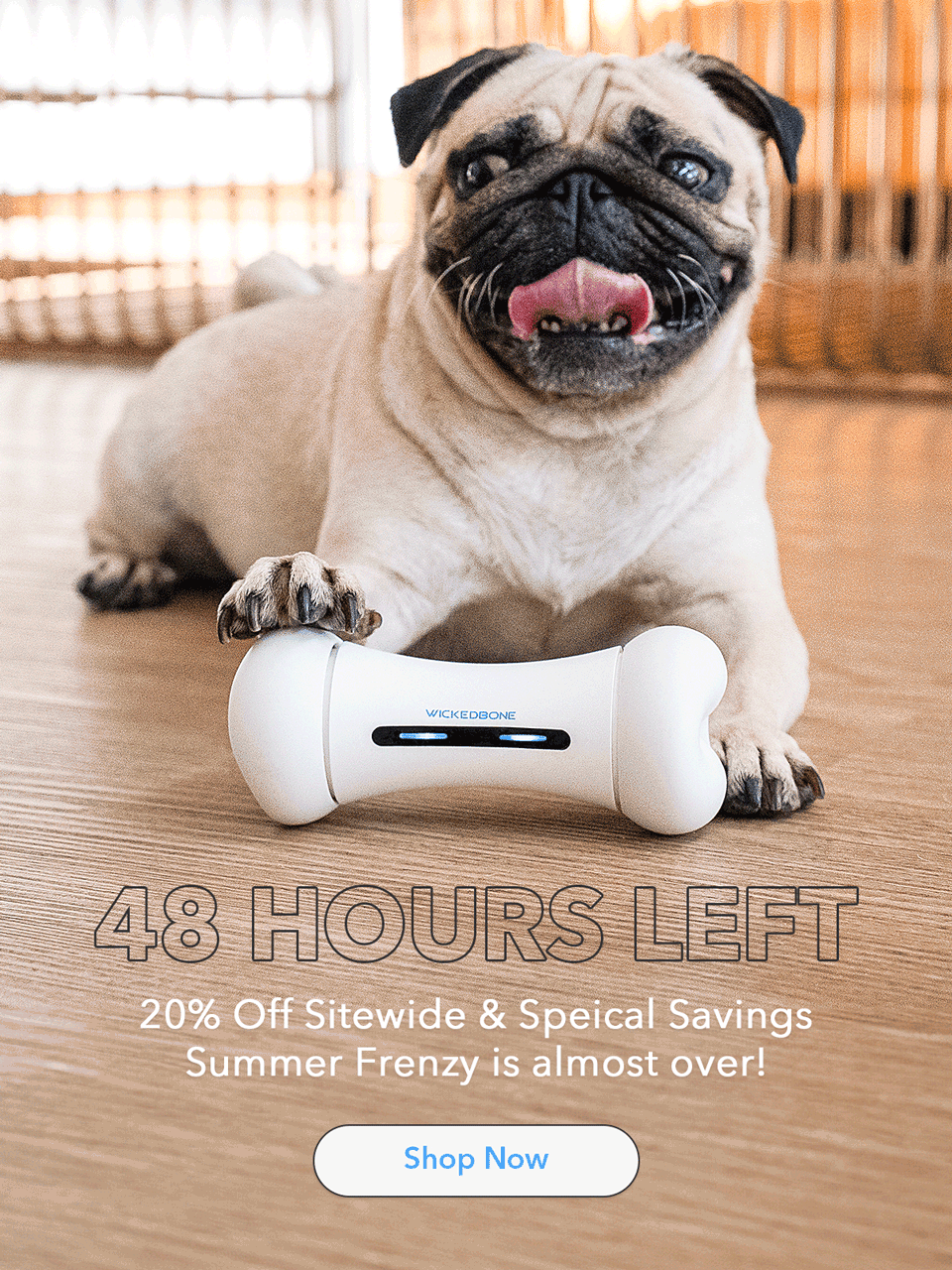 48h left for Summer Frenzy!